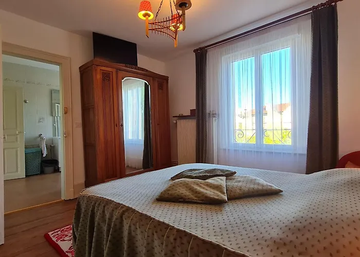 Grande Maison De Maitre Proche Toul Avec Wifi Et Parking - Fr-1-584-394