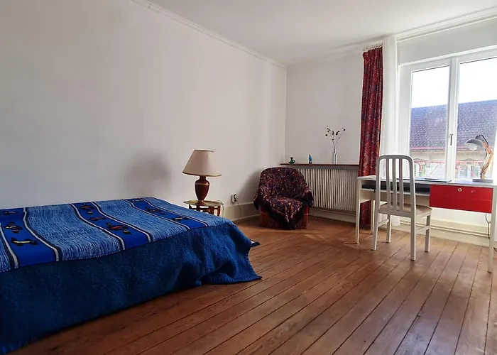 Grande Maison De Maitre Proche Toul Avec Wifi Et Parking - Fr-1-584-394 Holiday home